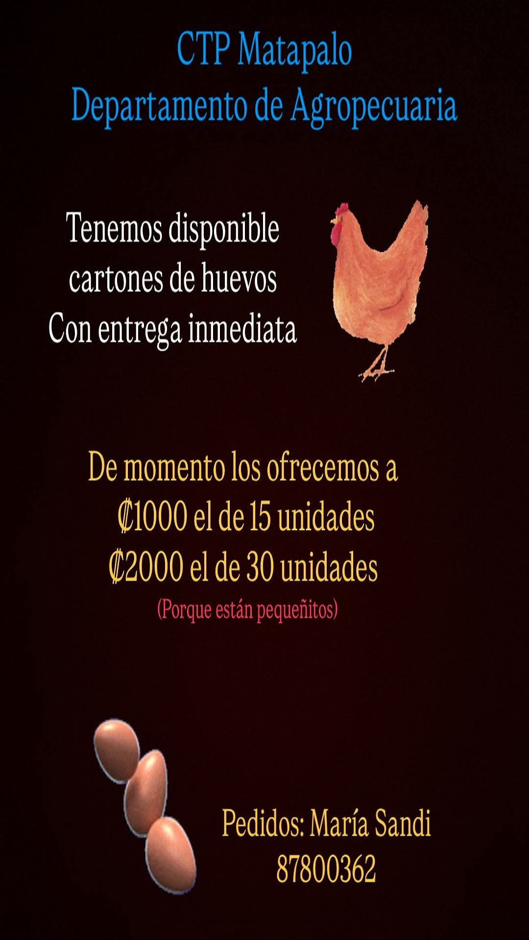 Actividad STEAM 3